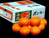 大玉『せとか』長崎県産 柑橘 3〜4L 約3kg（8〜10玉）産地箱 風袋込 ※常温 JA長崎せいひの商品画像