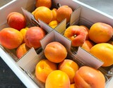 生食用『あんず（品種：ハーコット）』長野県産 2〜4L 2パック 計約1kg 簡易箱 ※冷蔵の商品画像