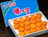 糖度13度以上『ハウス 味っ子みかん（早生種）』長崎県産 M〜L 約2.5kg（20〜25個）化粧箱 ※常温の商品画像