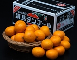 三崎共選『特秀 清見』愛媛県産 L〜2L 約5kg 産地箱 風袋込 ※常温 JAにしうわ【愛媛フェア】の商品画像