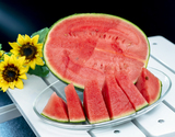 7/21〜26出荷 『あきた夏丸チッチェ』 秋田県産 小玉すいか 1玉 2〜3kg ※冷蔵