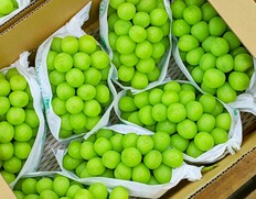 8/1〜12出荷◇ 【お盆前出荷】大房 『シャインマスカット』 山梨県産 ぶどう 青秀品 7〜8房 計約5kg（風袋込） 産地箱 ※冷蔵 JAふえふき