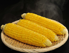 『平田農場のとうもろこし（品種：プレミアム味来）』北海道産  10本入り （1本約350g）※冷蔵 産地直送の商品画像