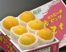 8/18〜23出荷◇ 『伊達の黄桃』 福島県産 秀品 約1.5kg （4〜8玉）×1箱 産地箱 ※常温