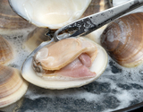 『鹿島灘はまぐり』茨城県鹿島灘産 約1kg（80〜100g／個）※冷蔵 三清の商品画像