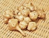 『キクイモ』 栃木・青森・宮城県産ほか 1袋 約1kg ※冷蔵 政義の商品画像