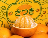 『さつき八朔』和歌山県産 柑橘 秀 L〜4L 約4.5kg 簡易箱 ※常温の商品画像