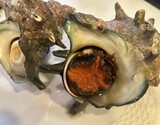 極上『サザエ（特大）』 静岡県下田産 1個 400g前後 ※冷蔵 三清の商品画像