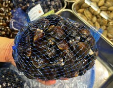 『べっこうしじみ 大（砂抜きなし）』宮城県石巻北上川産 約1kg ※冷蔵 三清